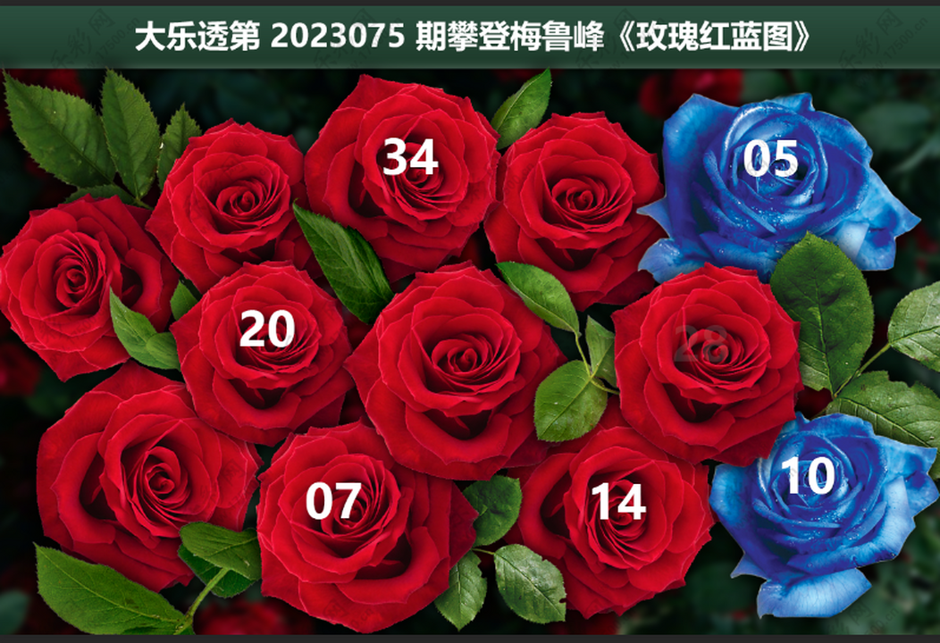 大乐透第23075期攀登梅鲁峰玫瑰红蓝图图谜推荐