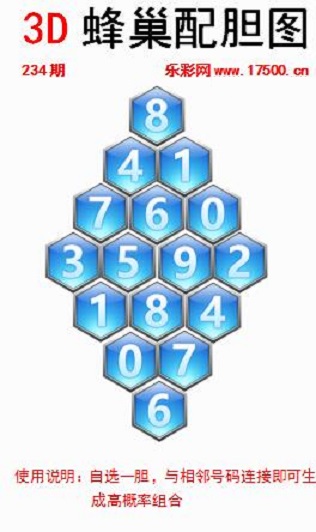 234福1蜂巢.jpg