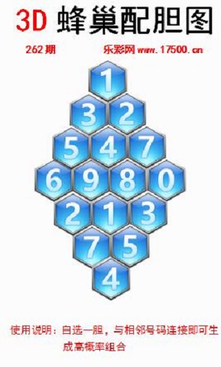 262福1蜂巢.jpg