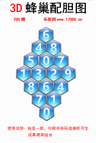 205福1蜂巢.png