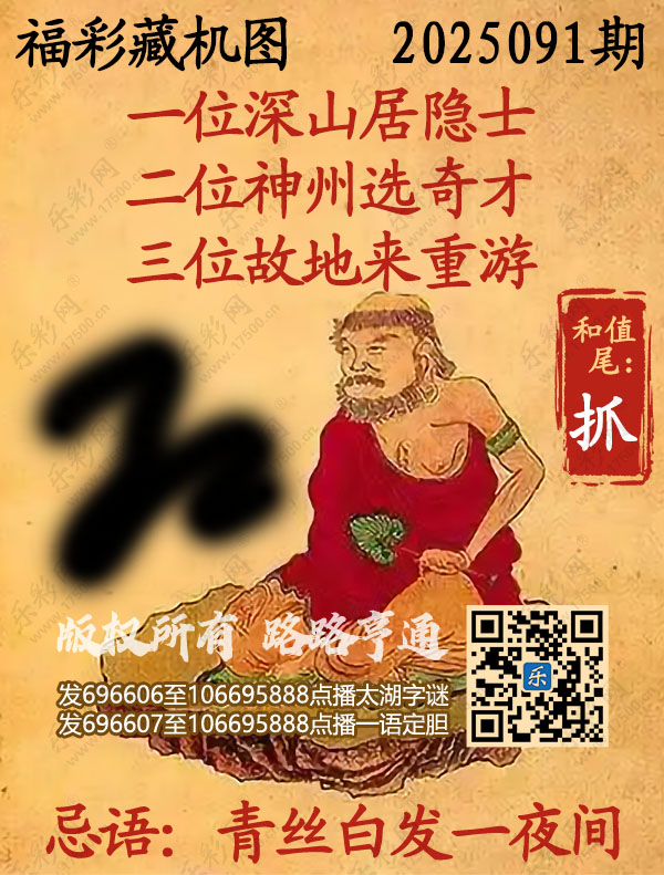 福彩3D第2025091期3d正版藏机图