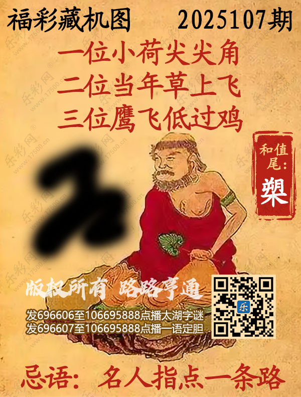 福彩3D第2025107期3d正版藏机图
