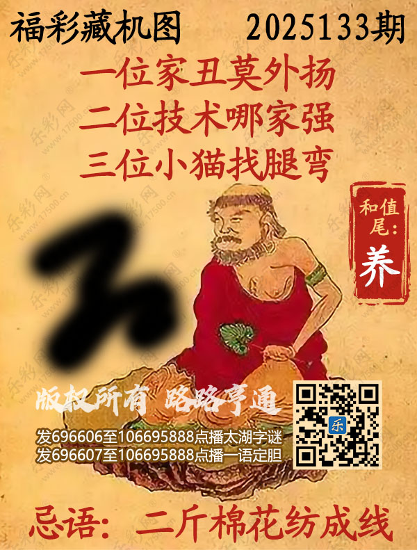 福彩3D第2025133期3d正版藏机图