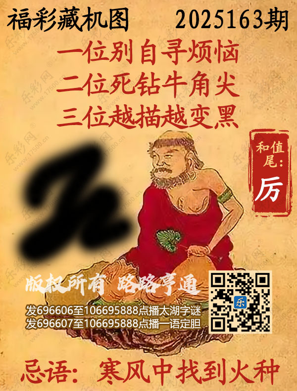 福彩3D第2025163期3d正版藏机图
